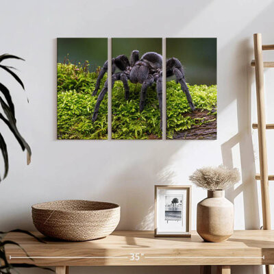 Ebern Designs Brazilian Black Tarantula