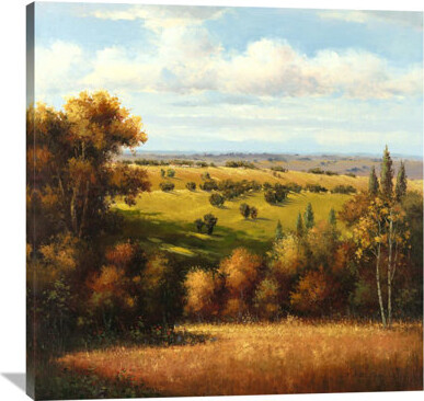 Global Gallery 'Tuscan Vista' by Arcobaleno Painting on Wrapped Canvas
