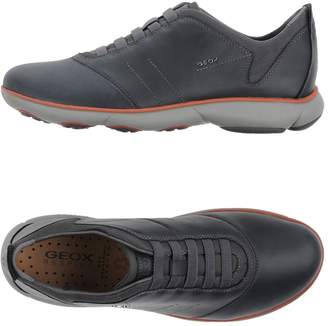 Geox Low-tops & sneakers - Item 11253390