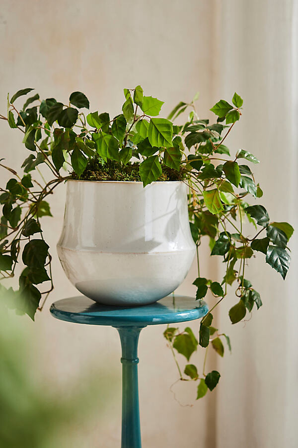 Speckled Bell Planter