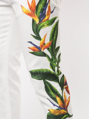 Dolce & Gabbana Bird Of Paradise Print Jeans