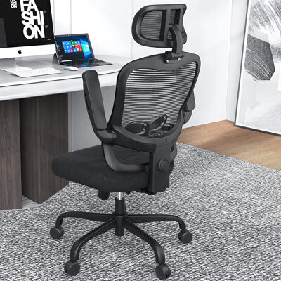 https://img.shopstyle-cdn.com/sim/a0/3e/a03e6d01f9aa0a030baad851d26c12d8_best/scottsville-ergonomic-office-desk-chair-mesh-computer-task-chairs-with-lumbar-support.jpg