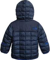 Thumbnail for your product : The North Face ThermoBall Hooded Insulated Jacket - Infant Boys'