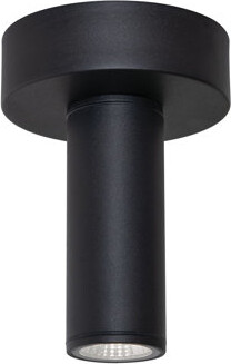 Wrought Studio Gollu Wall Light