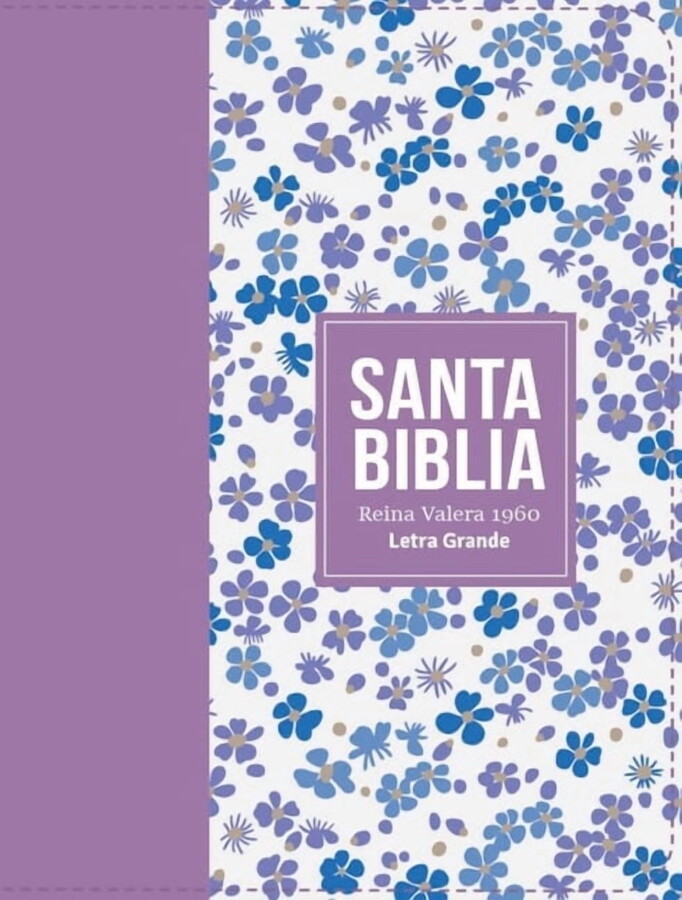 Biblia Rvr 1960 Compacta SÃmil Piel Flores Lila Claro (Bible Rvr 1960 Compact Size Leatherlike Light Lilac Flowers(spani, (Hardcover)