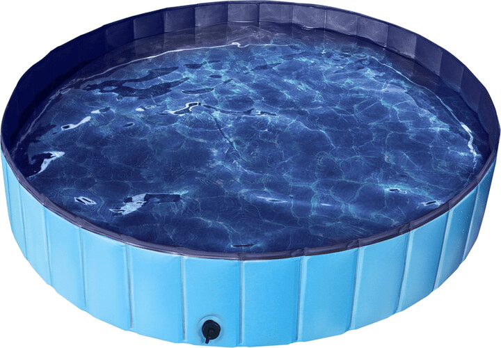 Renwick 63" Foldable Pet Swimming Pool Wash Tub, Blue