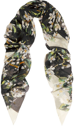 Dolce & Gabbana Floral-print silk-chiffon scarf