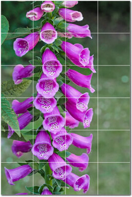 Picture-Tiles.com Flowers Photo 6'' x 6'' Satin Ceramic Decorative Mural