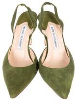 Thumbnail for your product : Manolo Blahnik Carolyne Suede Pumps