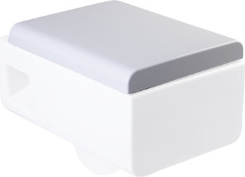 EAGO Replacement Soft Closing Elongated Toilet Seat