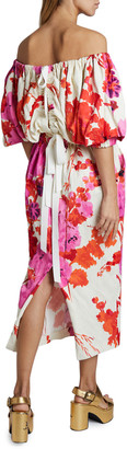 Dries Van Noten Dayna Off-the-Shoulder Floral Puff-Sleeve Dress