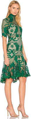 Thurley Babylon Lace Dress