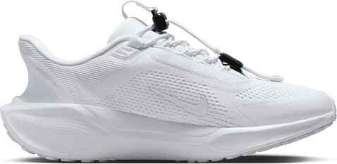 Nike Pegasus Easyon