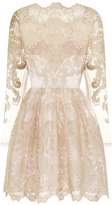 Thumbnail for your product : *Chi Chi London Petite Embroidered Mini Dress