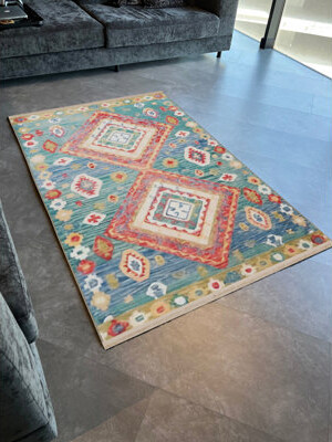 Bungalow Rose Saiyada Indoor/Outdoor Area Rug