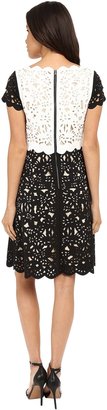 NUE by Shani Fit & Flare Laser Cutting Dress w/ Popover