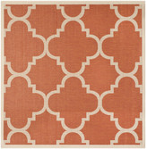 Thumbnail for your product : Safavieh Courtyard Terracotta Area Rug Rug
