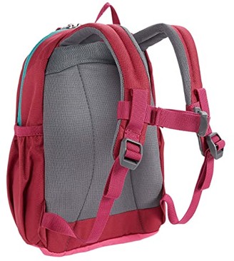 Deuter Pico (Hot Pink/Ruby 2) Backpack Bags - ShopStyle