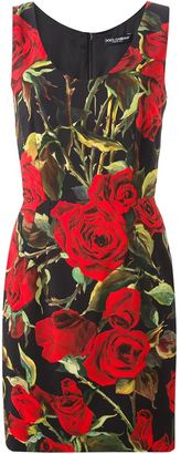 Dolce & Gabbana roses print dress