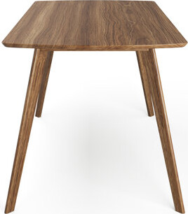 Corrigan Studio Drae Mid-Century Modern Rectangular Dining Table 60"