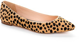 Thumbnail for your product : Loeffler Randall Quinnie pointed toe flat