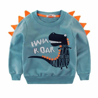 toddler boy pullover hoodies
