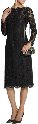 Valentino Cotton-blend Corded Lace Dress
