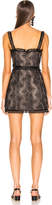 Thumbnail for your product : Alexis Kesi Dress in Black Lace | FWRD