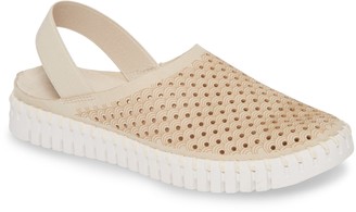 nordstrom ilse jacobsen tulip