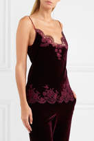 Thumbnail for your product : I.D. Sarrieri Rose Imperial Chantilly Lace-trimmed Velvet Camisole