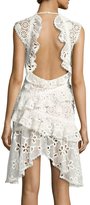Thumbnail for your product : Alexis Arleigh Dress White
