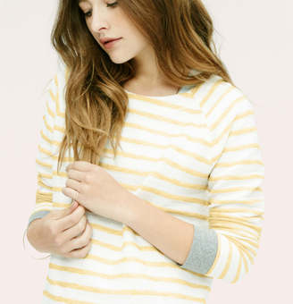 LOFT Petite Lou & Grey Haze Stripe Sweatshirt