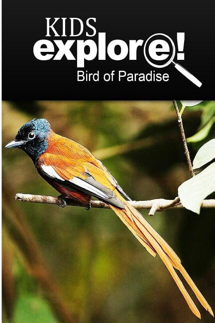 Birds Of Paradise - Kids Explore: Animal books nonfiction - books ages 5-6 (Paperback)