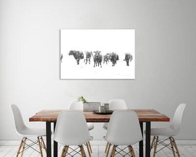 "Oreos And Milk II" Gallery Wrapped Canvas By Aledanda