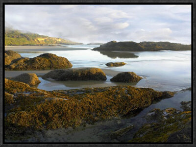 East Urban Home 'Seaweed Covered Rocks Exposed At Low Tide, Neptune Beach, Oregon' Framed Photographic Print