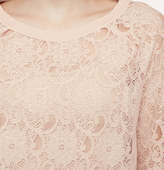 Thumbnail for your product : LOFT Sheer Lace Sweatshirt