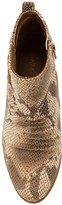 Thumbnail for your product : Bare Traps Grafton Snake Print Ankle Bootie