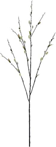 Allstate Pussy Willow Spray By in Green