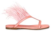 Thumbnail for your product : Emilio Pucci Feather Sandals in Pink