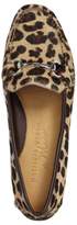 Thumbnail for your product : Patricia Green Jamison Genuine Calf Hair Driving Moccasin