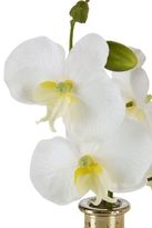 Thumbnail for your product : Next Orchid Globe