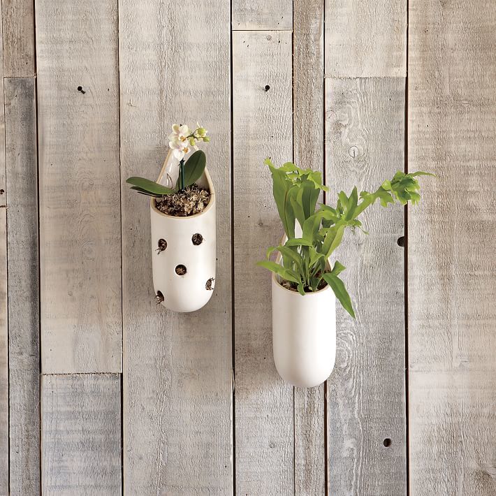 west elm Shane Powers Ceramic Wall Planters ShopStyle Home & Living