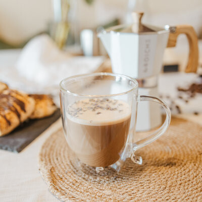 Grosche Cyprus 16.91 oz. Double Walled Mug