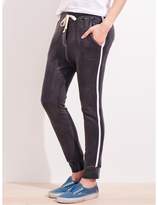 Thumbnail for your product : Sundry Side Tape Sweatpant