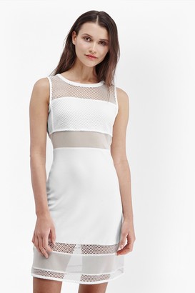 French Connection Manhattan Mesh Panelled Dress