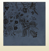 Thumbnail for your product : Gucci Overdyed Flora Print Silk Twill Scarf