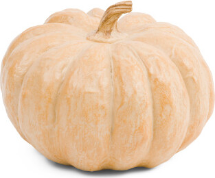 TJMAXX 9X7 Heriloom Pumpkin Decor