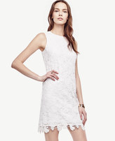 Thumbnail for your product : Ann Taylor Petite Floral Lace Shift Dress