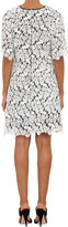 Thumbnail for your product : Erdem Guipure Lace Dress