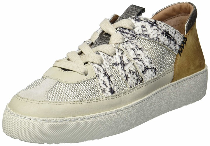 frye webster wave low lace